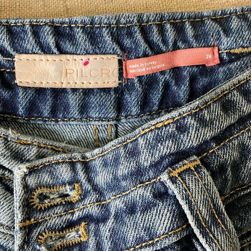 Pilcro and letterpress double button carpenter jeans
